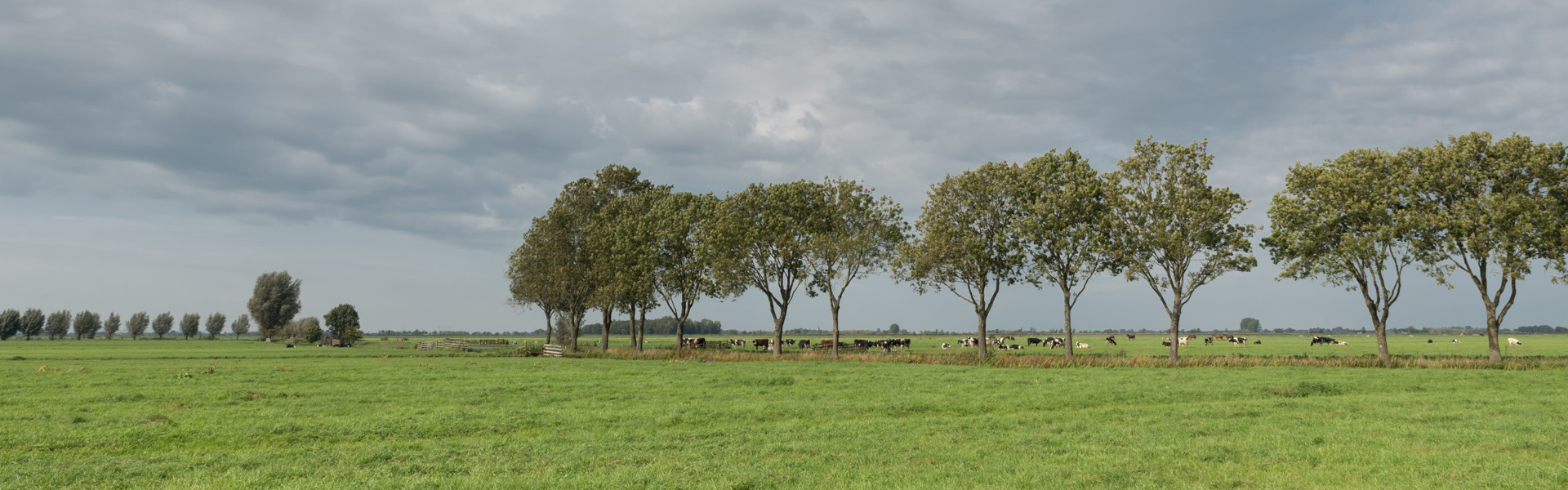 Foto Beeldbank van de Alblasserwaard