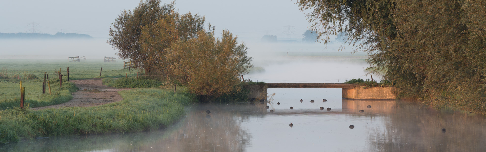 Foto Beeldbank van de Alblasserwaard